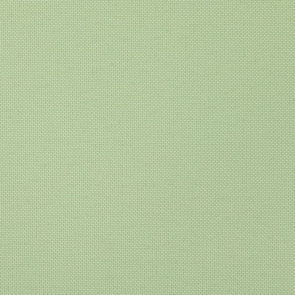 マスカット(tk_tr_1049)