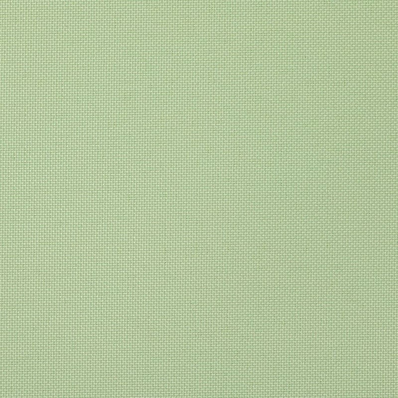 マスカット(tk_tr_1049)