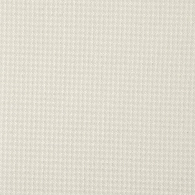 ホワイト(tk_tr_1561)