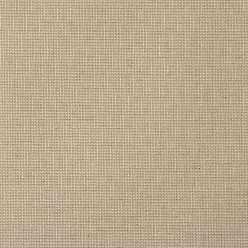 ベージュ(tk_tr_1562)