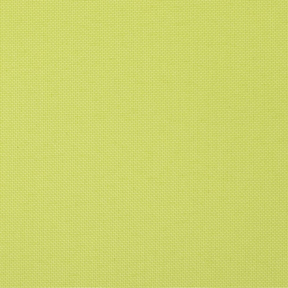 ライム(tk_tr_1564)