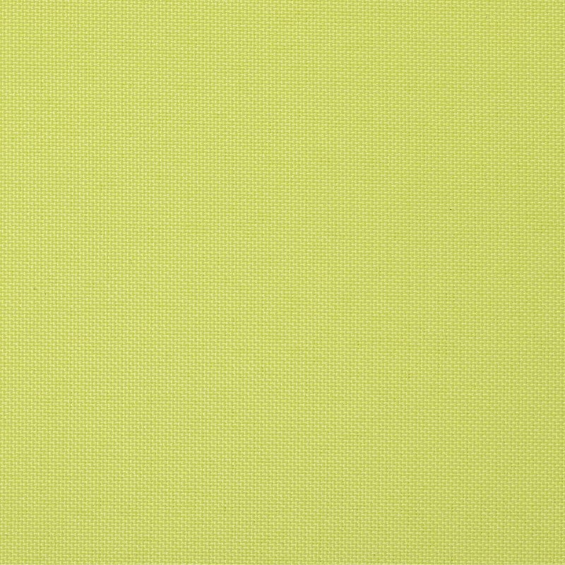 ライム(tk_tr_1564)