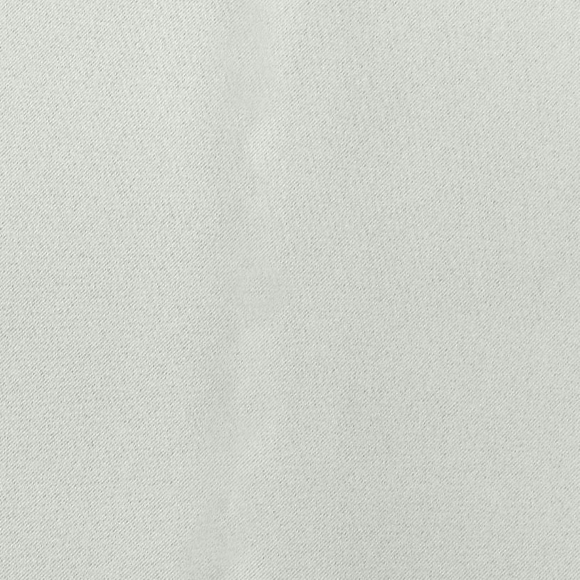 スノーグレー（d0200）