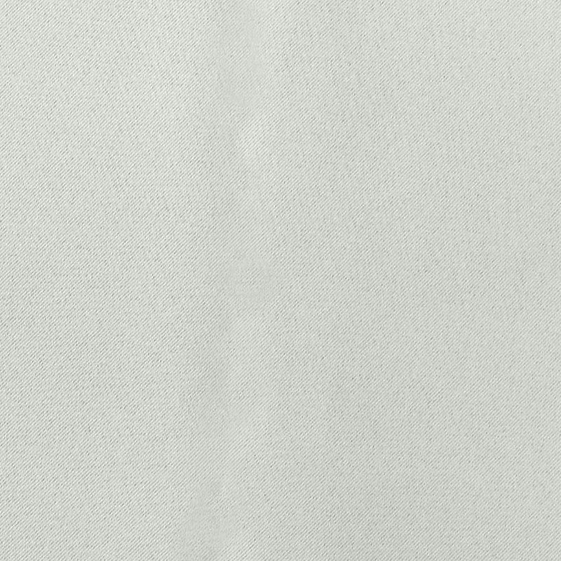 スノーグレー（d0200）