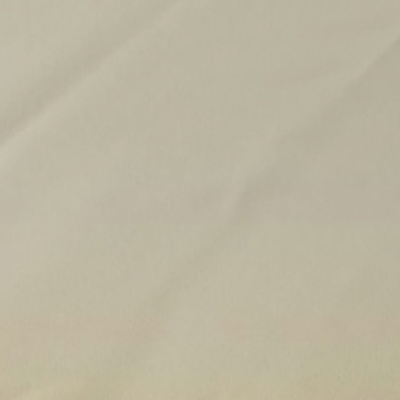 グレージュ（ps_105_wm）