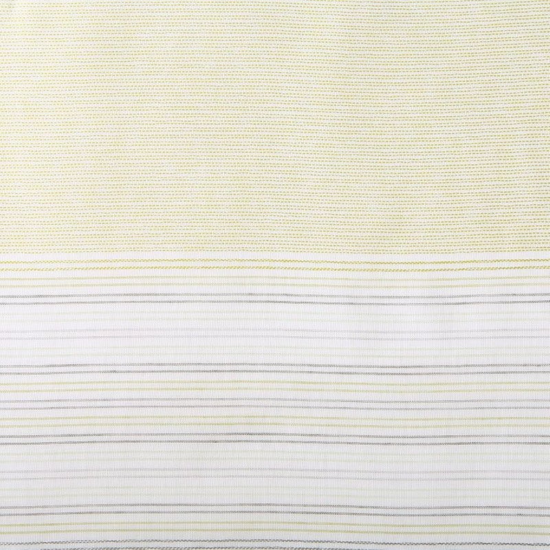 カラーバリエーション