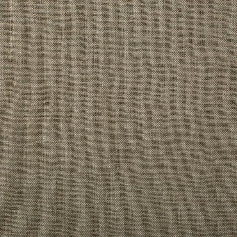 オリーブ（cl_0160）