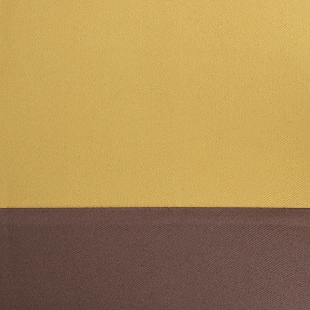 カラー：チョコバナナ